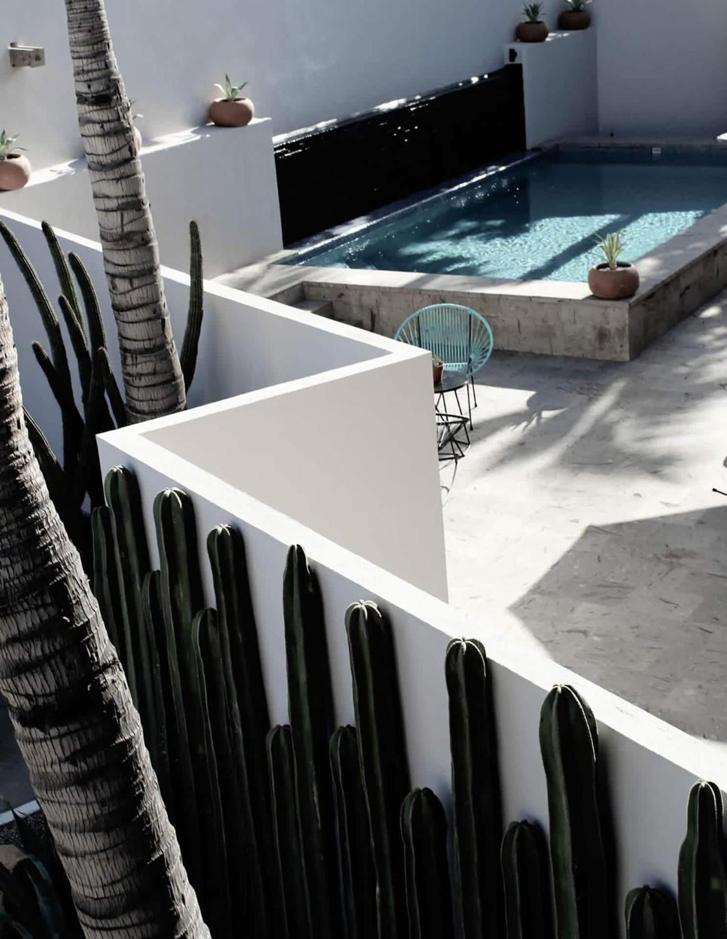 2 Amazing Suite King Rooms In Exclusive Boutique Hotel San José del Cabo Buitenkant foto